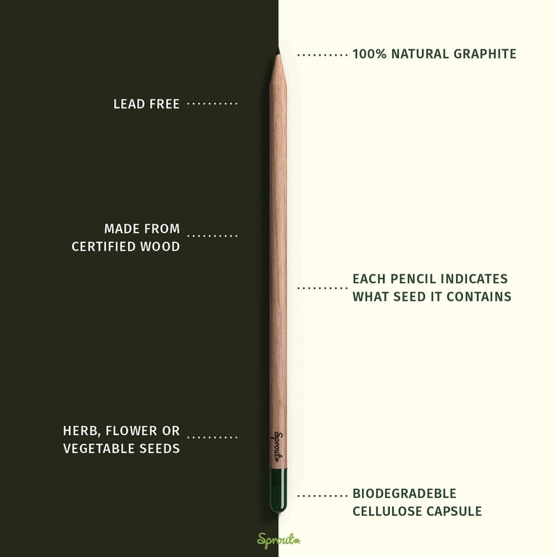 Sprout Wood-Cased Pencils | Teacher's Edition | HB Pre-Sharpened Graphite Plantable Wooden Pencils with flower, Herb & Vegetable Seeds | Gift for Teachers, Creative Kids & School Students | 32 Pack - Image 3